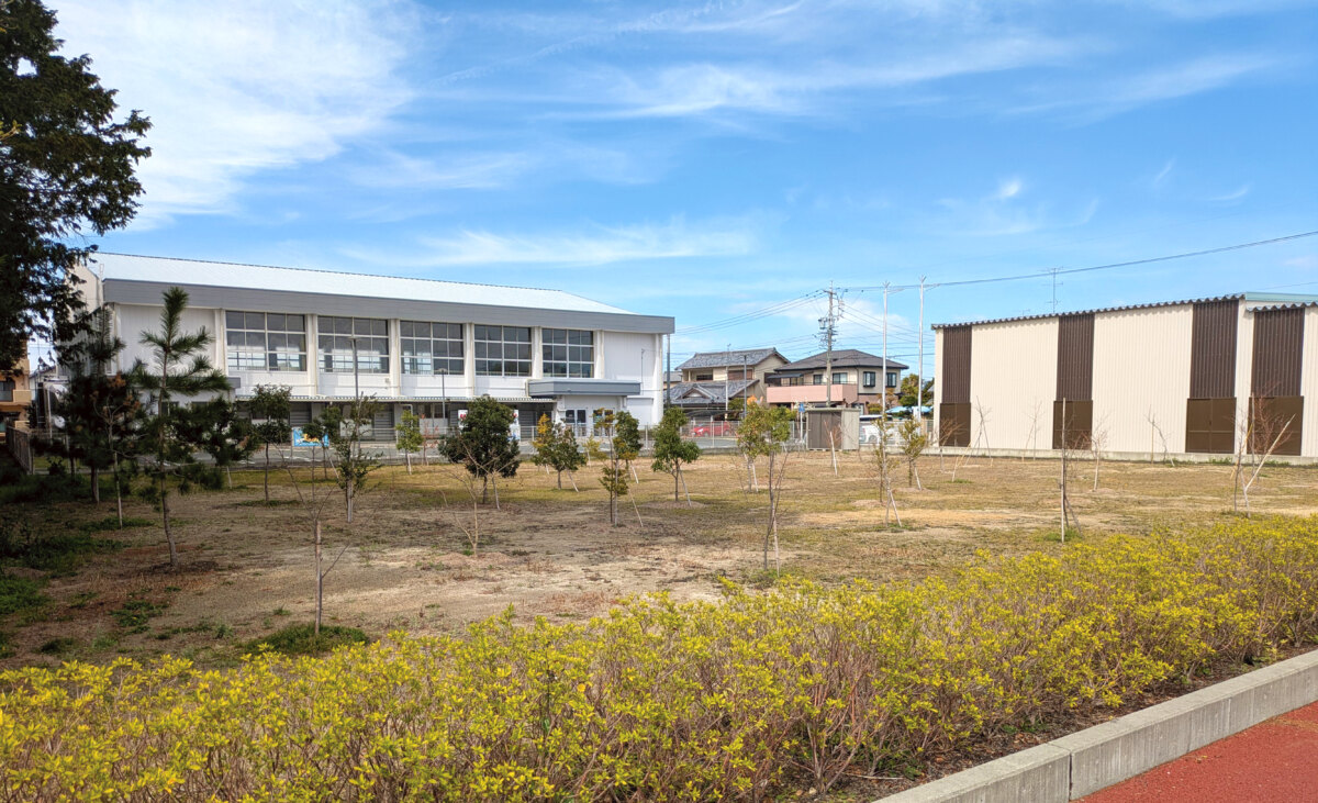 未来に向けた植樹