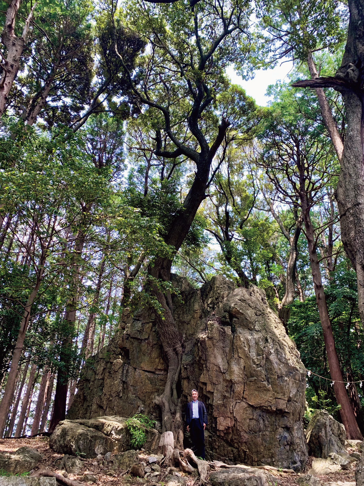 巨石の前に立つ男性（176cm）から、天白磐座遺跡の圧倒的なスケールが伝わります