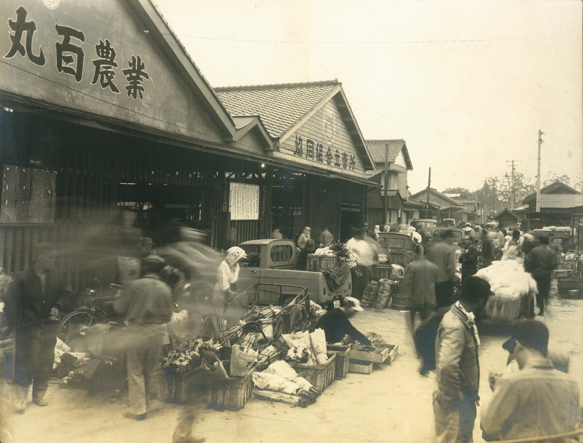 昭和40年頃の中島市場の様子　[写真提供:西遠丸百農業協同組合]