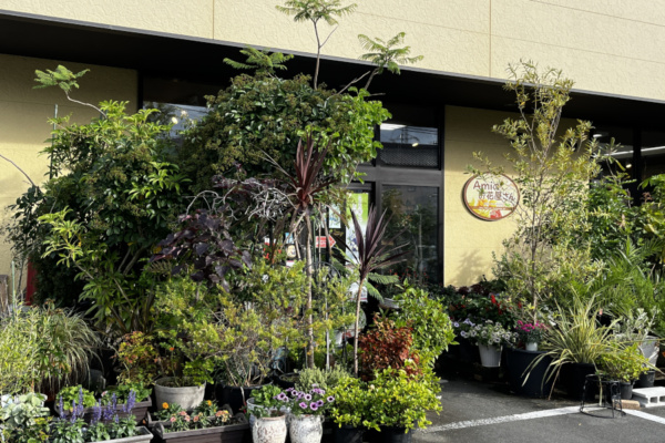 Amiのお花屋さん